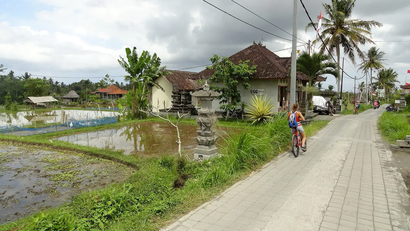 A Morning in Ubud, Bali: Dawn Mist on Campuhan Ridge Walk and the Rainforest Whispers of Tegalalang