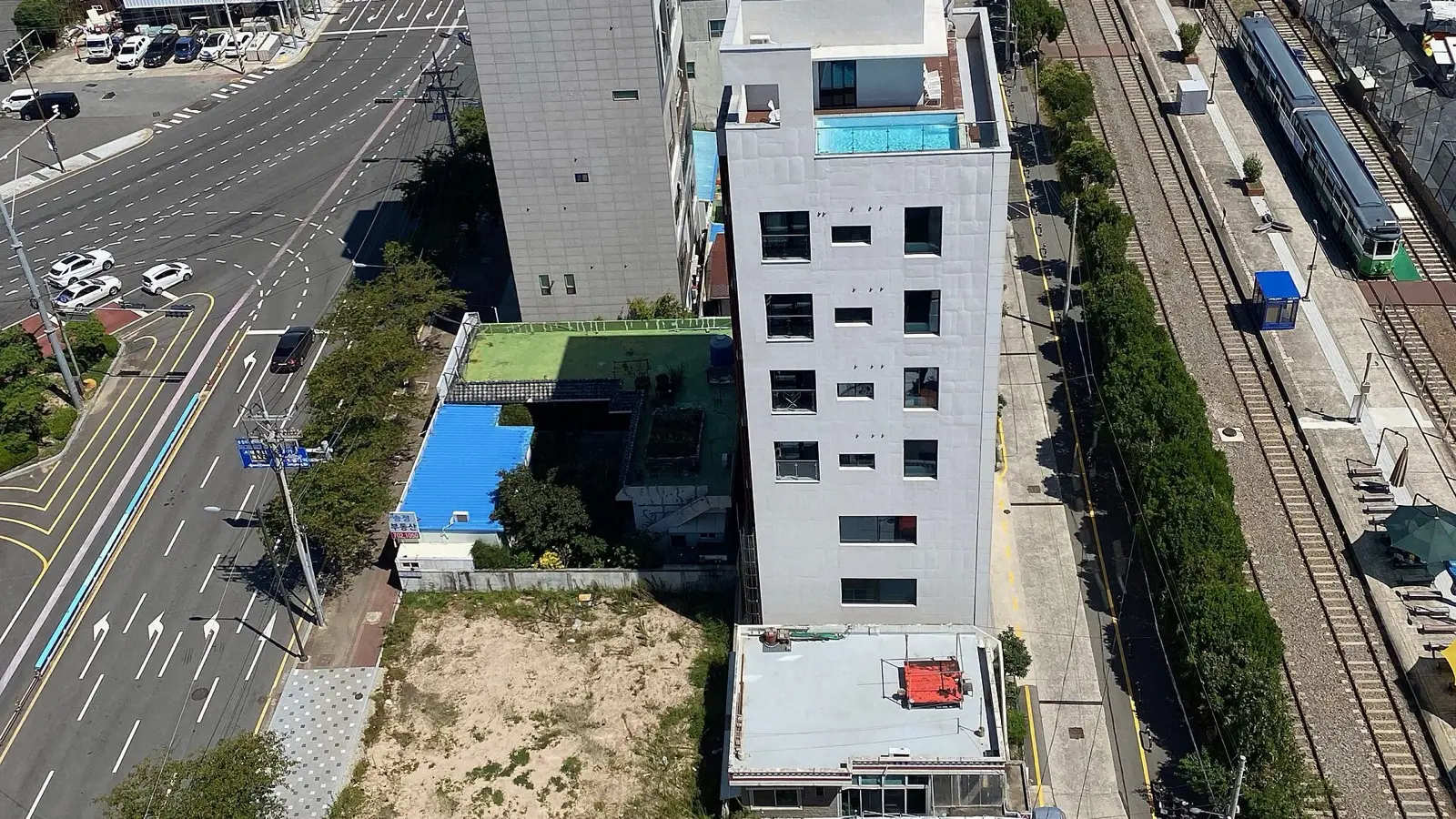 아침 6시 자갈치 시장의 활기찬 경매 현장과 싱싱한 계절 해산물, 바가지 방어 동선 점검
