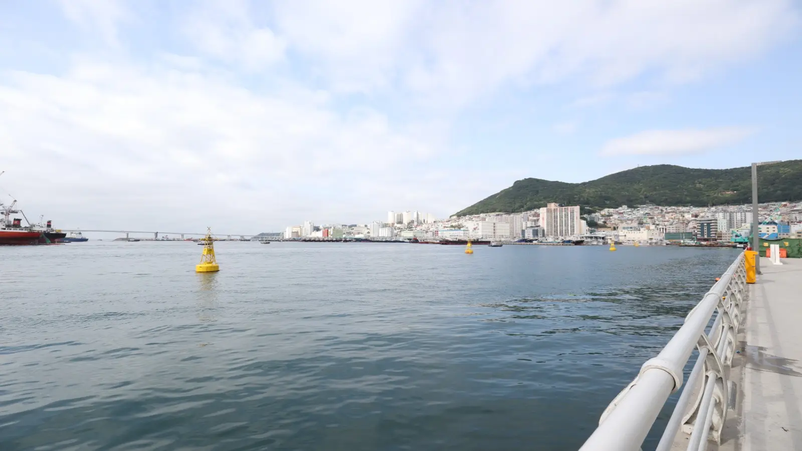 갓 잡아 올린 싱싱한 해산물과 활기찬 부산 상인들의 정겨운 사투리가 넘쳐나는 아침 자갈치시장