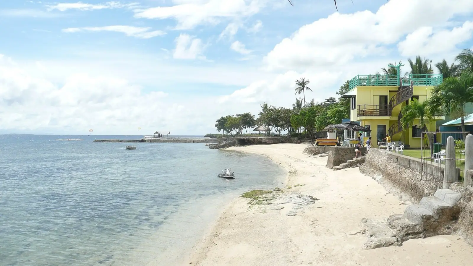 Mactan Coral Reef Enclaves and the 3 AM Oslob Run: A Tactical Luxury Guide to Cebu
