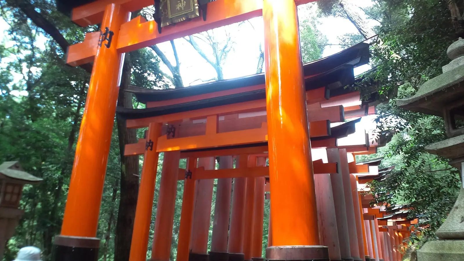 沿著稻荷山參道綿延成壯觀朱紅隧道之伏見稻荷大社千本鳥居神秘景致
