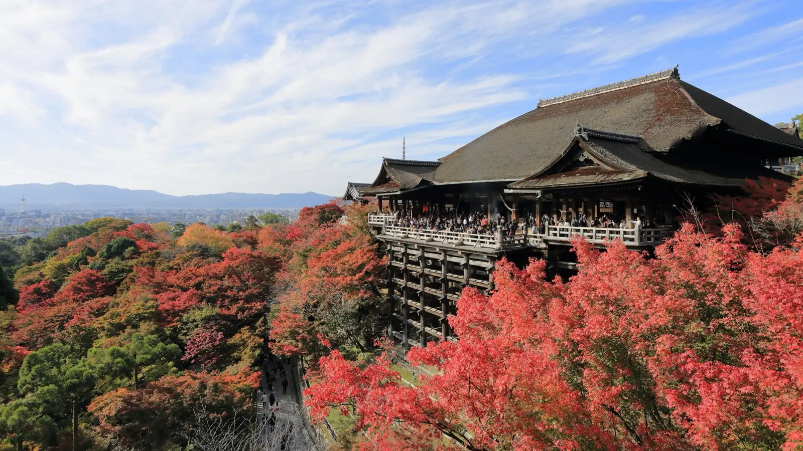 Kyoto Arashiyama & Gion Retreat: Historic Ryokans and Early Dawn Bamboo Groves