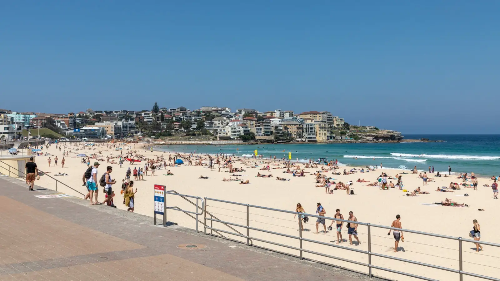 Sydney Harbour & Coastal Trails: Opera House Sunsets and the Manly Ferry Playbook